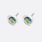 Lunar Earth