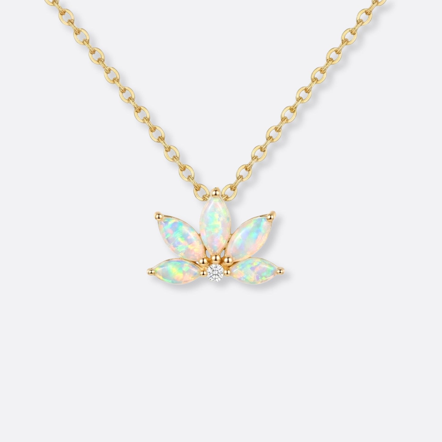 Bloom of Light